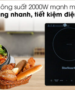 Bếp Từ Đơn Nestly HNK 2000W