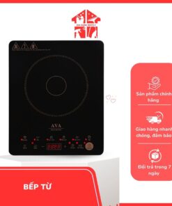 Bếp Từ Mini Đa Năng Nestly HNK2